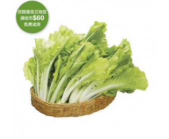 【疫情蔬果专区】台湾小白菜 500克【请单独下单,不要和其它专区商品混搭】 【疫情蔬果专区】台湾小白菜 500克【请单独下单,不要和其它专区商品混搭】
